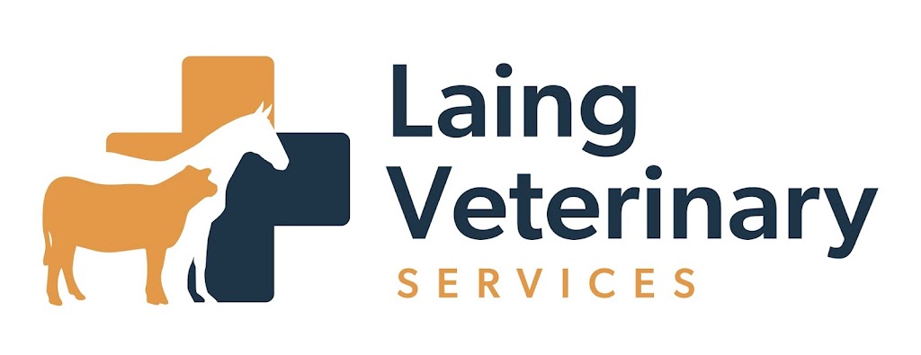 Laing Veterinary Services | veterinary care | Argyle St, Moss Vale NSW 2577, Australia | 0404205202 OR +61 404 205 202