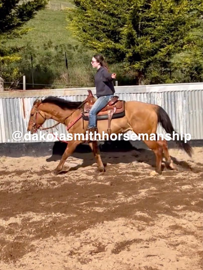 Dakota Smith Horsemanship |  | 700 Ironcliffe Rd, Penguin TAS 7316, Australia | 0499579771 OR +61 499 579 771