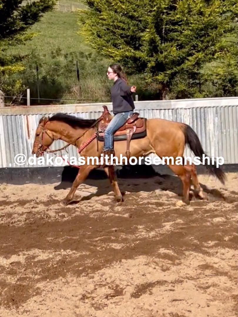 Dakota Smith Horsemanship | 700 Ironcliffe Rd, Penguin TAS 7316, Australia | Phone: 0499 579 771