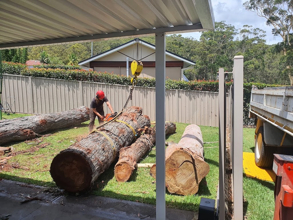 Proactive Arbor | 16 Mimosa Rd, Budgewoi NSW 2262, Australia | Phone: 0400 736 614