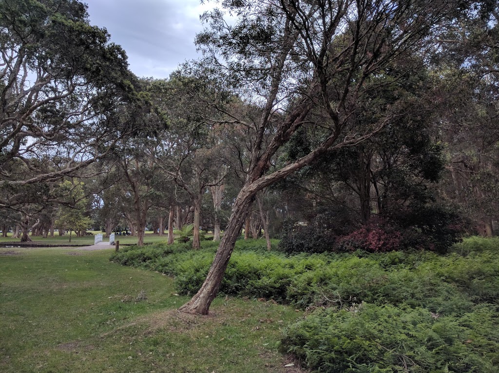 Lachlan Swamp | park | Centennial Park NSW 2021, Australia | 0292659333 OR +61 2 9265 9333