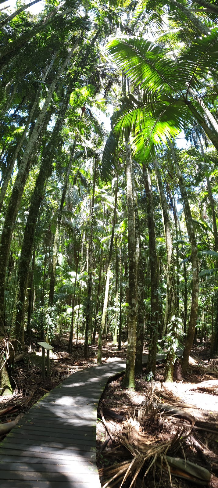 Minyon Falls walking track | Minyon Loop W, Whian Whian NSW 2480, Australia | Phone: (02) 6627 0200