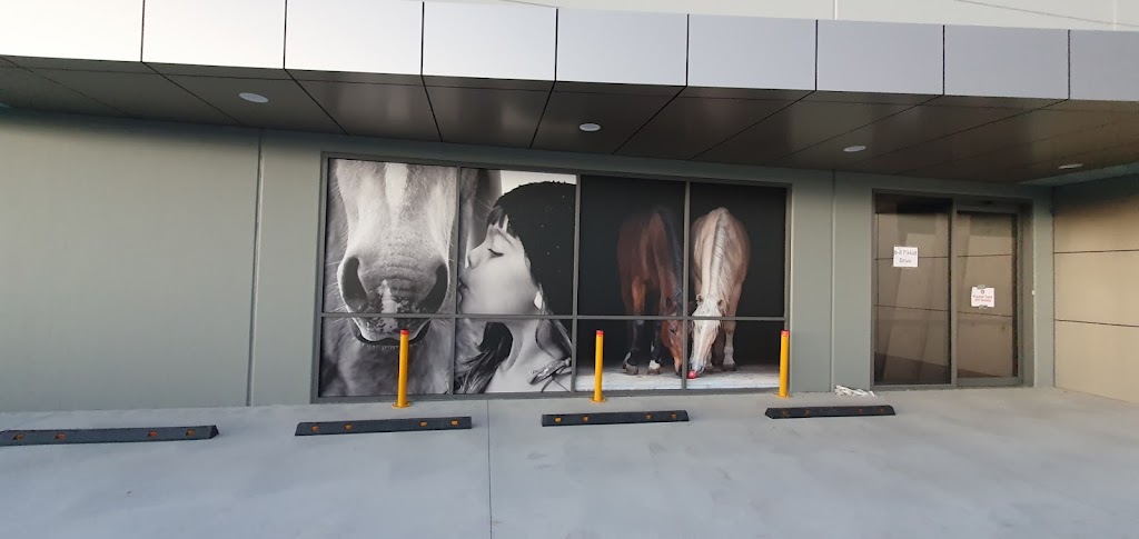 EQ Saddlery Southern Highlands | 6A Pikkat Dr, Braemar NSW 2575, Australia | Phone: (02) 3814 5051