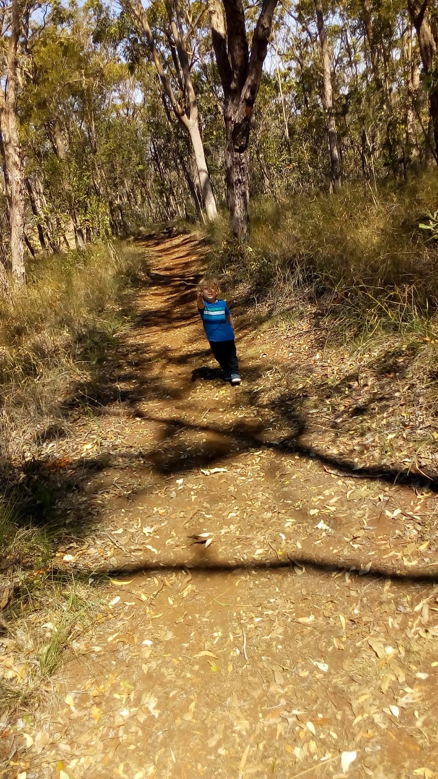 Boat Mountain Conservation Park | park | Tablelands QLD 4605, Australia