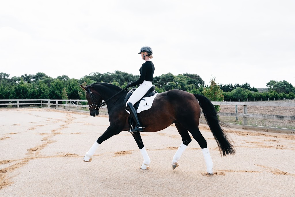 High Horse Performance | 77-79 Buckley Grove, Moolap VIC 3224, Australia | Phone: (03) 4239 0866