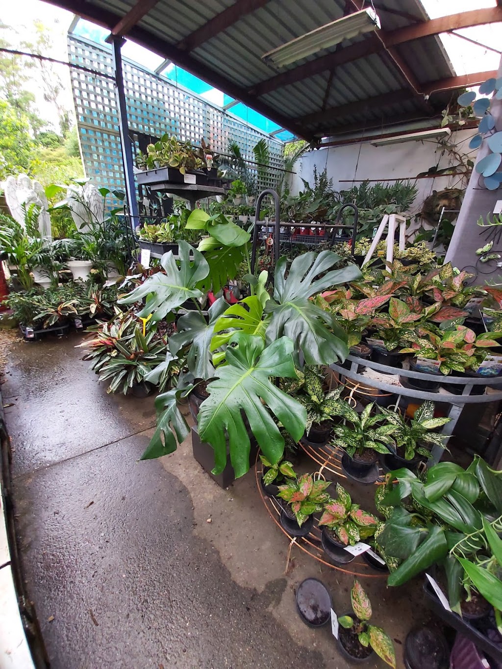 Pelicans Landing Garden Centre | 2 Riverside Dr, Nambucca Heads NSW 2448, Australia | Phone: (02) 6569 4159