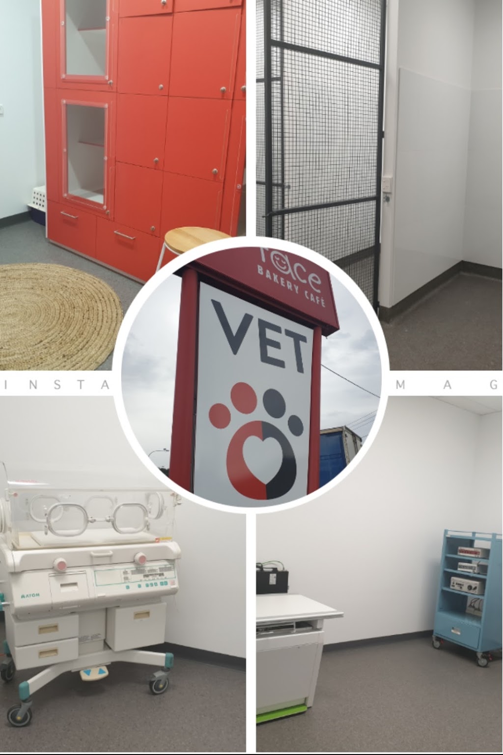 Illawarra Animal Hospital - Figtree | veterinary care | 43A Princes Hwy, Figtree NSW 2525, Australia | 0242139333 OR +61 2 4213 9333