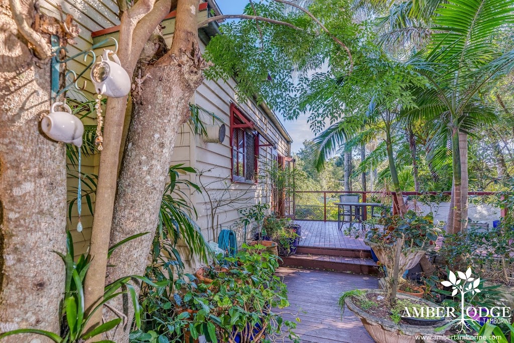 Amber Lodge Tamborine | lodging | 8 Wongawallan Rd, Tamborine Mountain QLD 4272, Australia | 0755450557 OR +61 7 5545 0557
