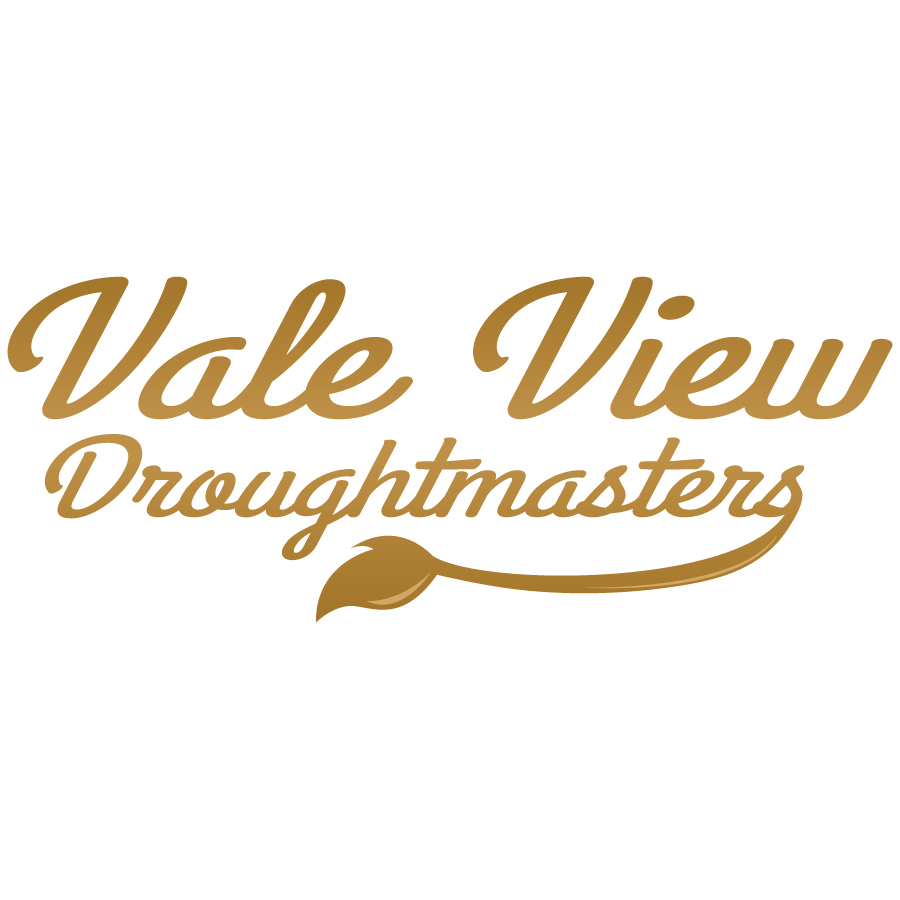 Vale View Droughtmasters | 4255 Manumbar Rd, Manumbar QLD 4601, Australia | Phone: 0438 788 110