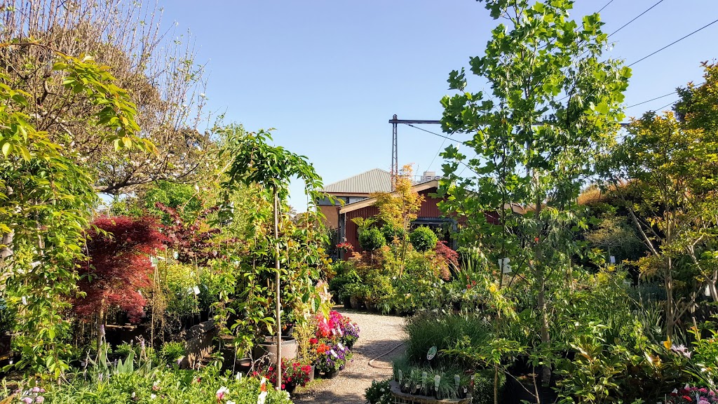 The Garden of Eden Nursery | 365 Ferrars St, Albert Park VIC 3206, Australia | Phone: (03) 9696 0551