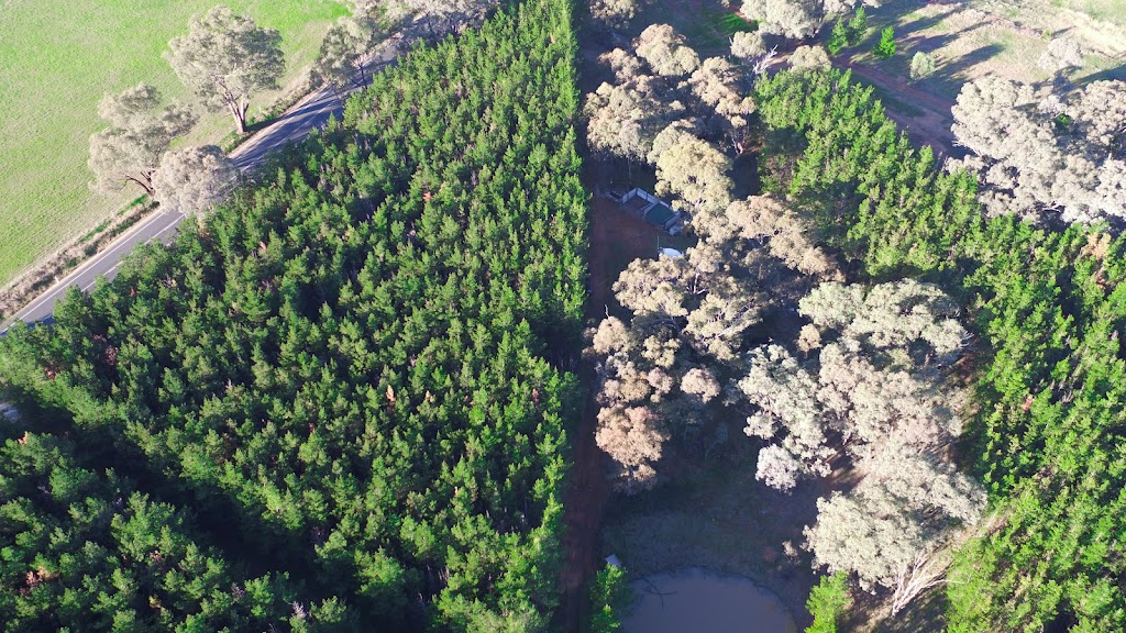 Kia-Ora Tree Farm | 645 Gollan Rd, Goolma NSW 2852, Australia | Phone: (02) 6374 0275