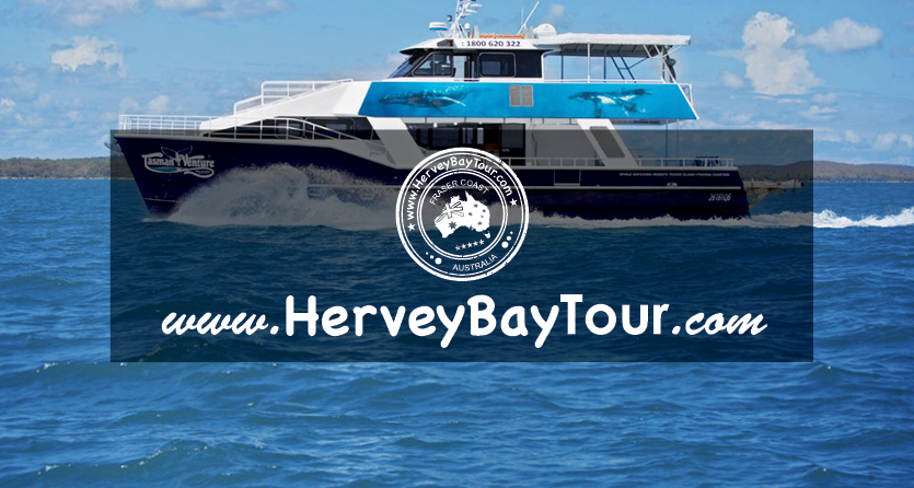 HerveyBayTour.com | travel agency | 414 Esplanade, Torquay QLD 4655, Australia | 0409555820 OR +61 409 555 820