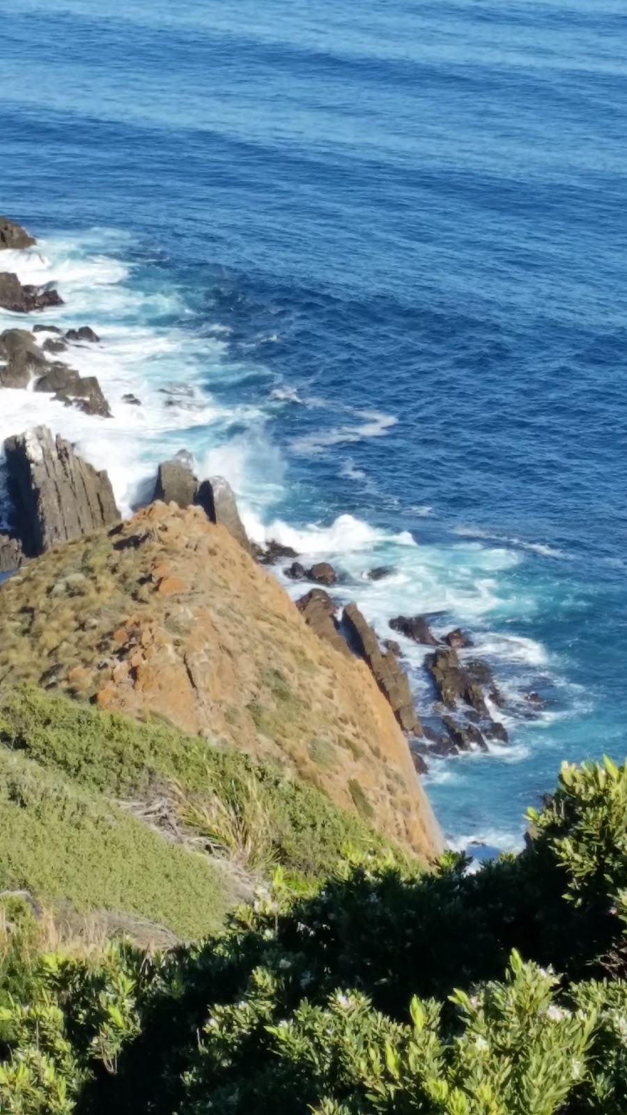 Cape Liptrap Coastal Park | Victoria, Australia