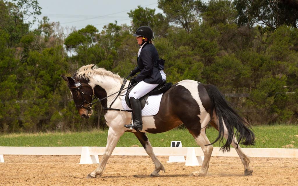 Heartline Equine Therapy and Counselling | 272 Warragul-Lardner Rd, Warragul VIC 3820, Australia | Phone: 0408 984 493