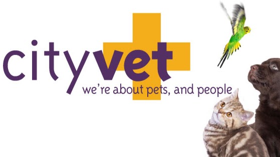 CityVet Chatswood Hills | veterinary care | 50 Chatswood Rd, Springwood QLD 4127, Australia | 0738083180 OR +61 7 3808 3180