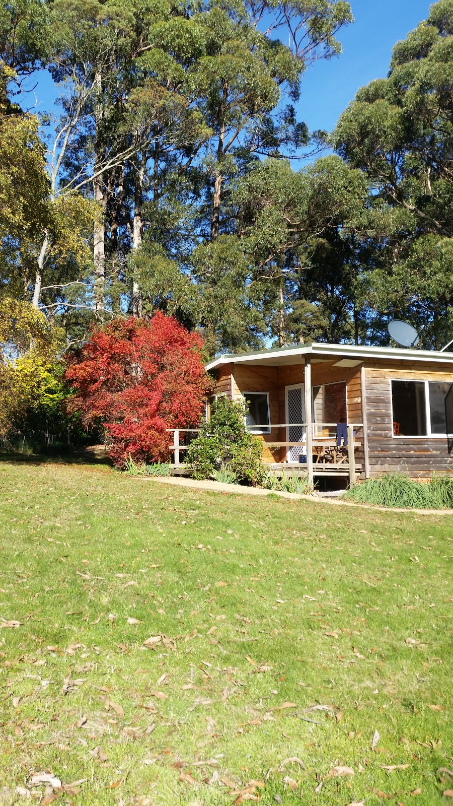 Sleepy Dell Cottage | 207 Fabers Rd, Riana TAS 7316, Australia | Phone: (03) 6437 6172