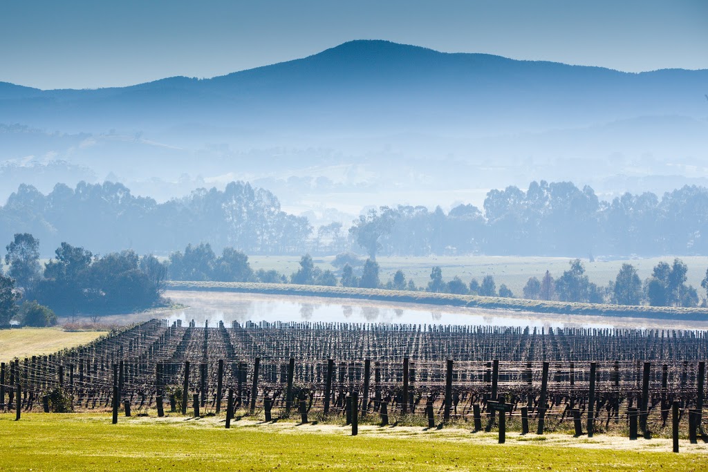 Wine Tours Victoria | 9 The Willows, Gisborne VIC 3437, Australia | Phone: 1800 946 386