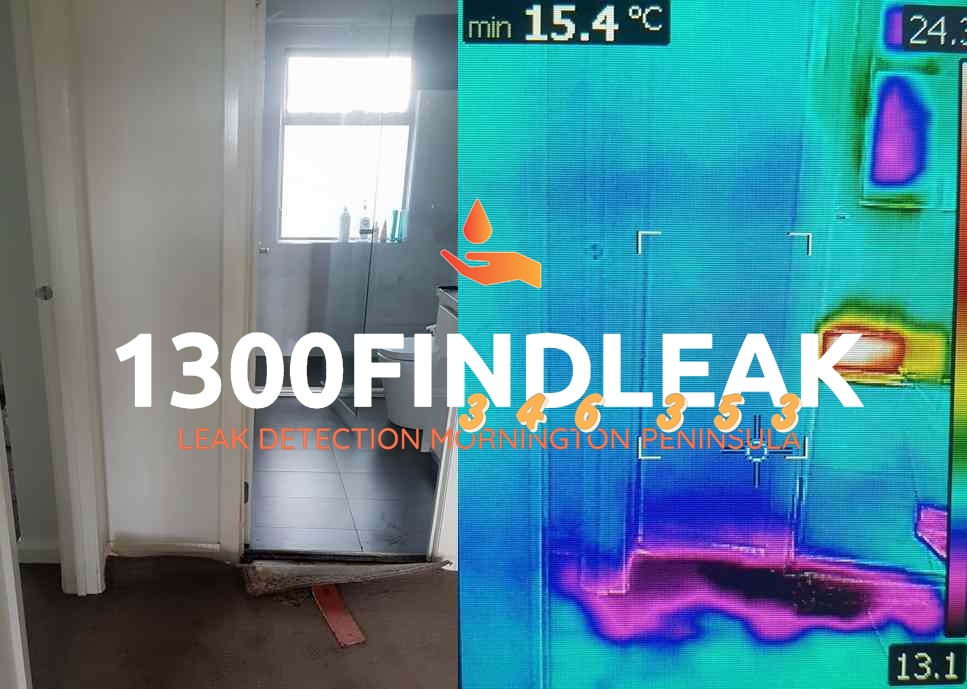 1300 FINDLEAK | Leak Detection Mornington Peninsula | 1482 Stumpy Gully Rd, Moorooduc VIC 3933, Australia | Phone: 1300 346 353