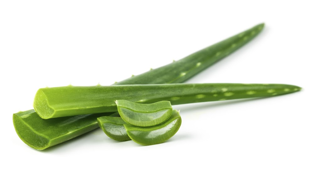 Aloe Vera The Natural Healer | 8 Wattletree Walk, South Morang VIC 3752, Australia | Phone: 0409 555 158