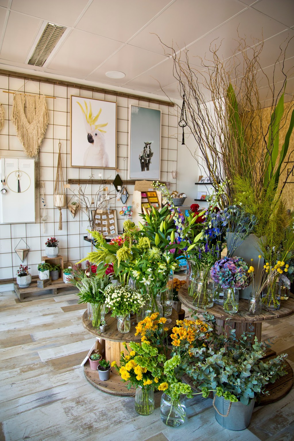 Flower Theory Florist And Gifts Lara Geelong | florist | Shop 2/16a The Centreway, Lara VIC 3212, Australia | 0352824977 OR +61 3 5282 4977