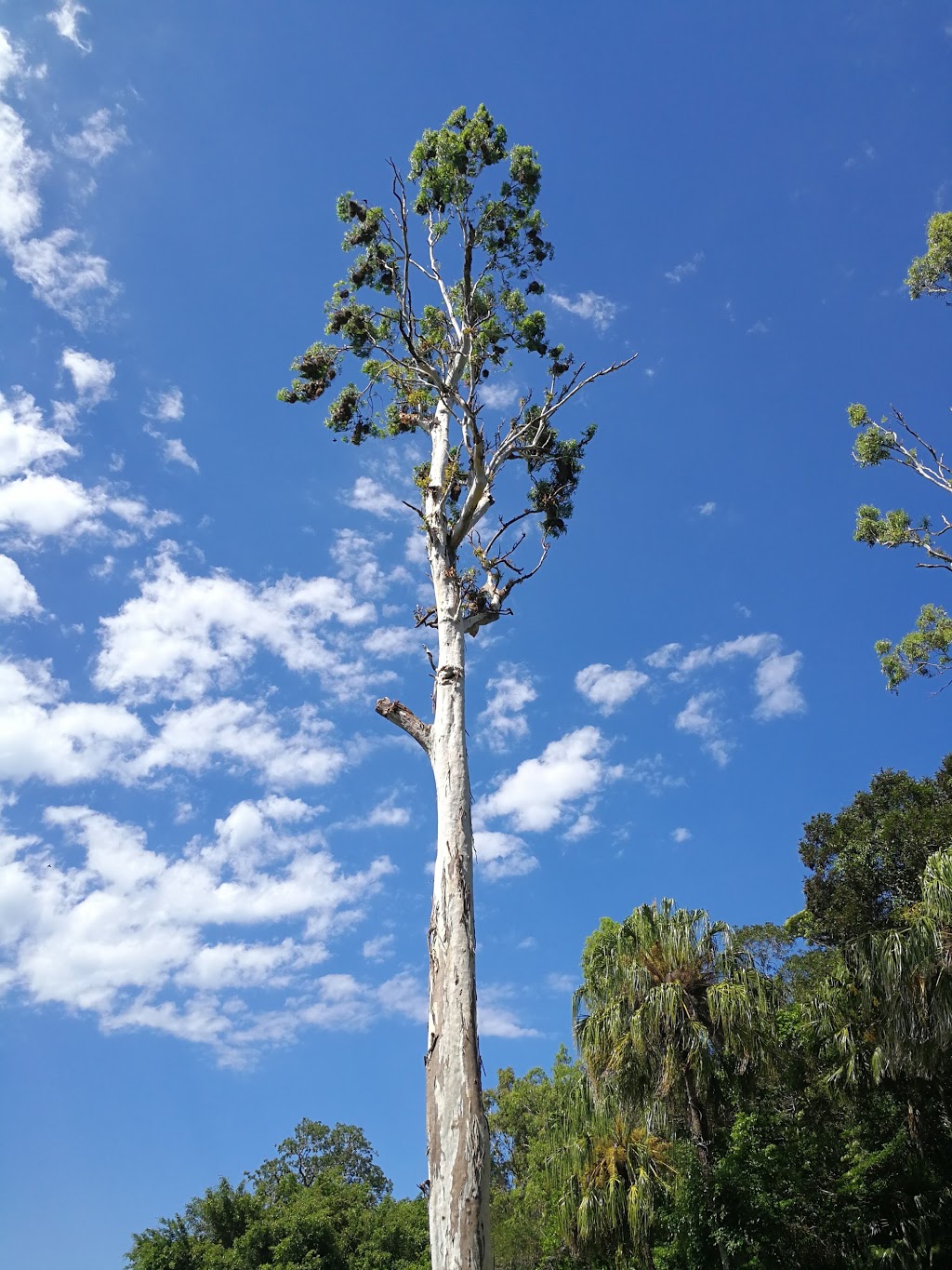 Crocodile Park | park | Kewarra Beach QLD 4879, Australia