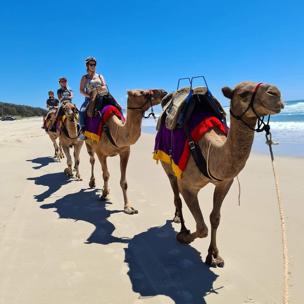 Noosa Camel Rides | 240a Wilderness Track, Noosa North Shore QLD 4570, Australia | Phone: 0407 631 682