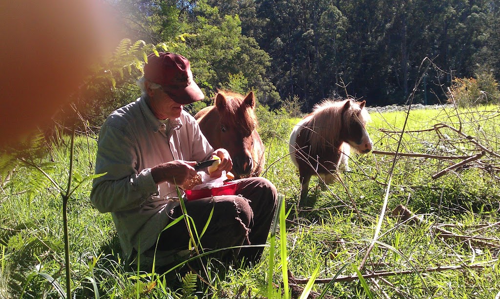 Bangalow Bushland Management | 22 Winani Rd, Erina NSW 2250, Australia | Phone: 0401 648 821