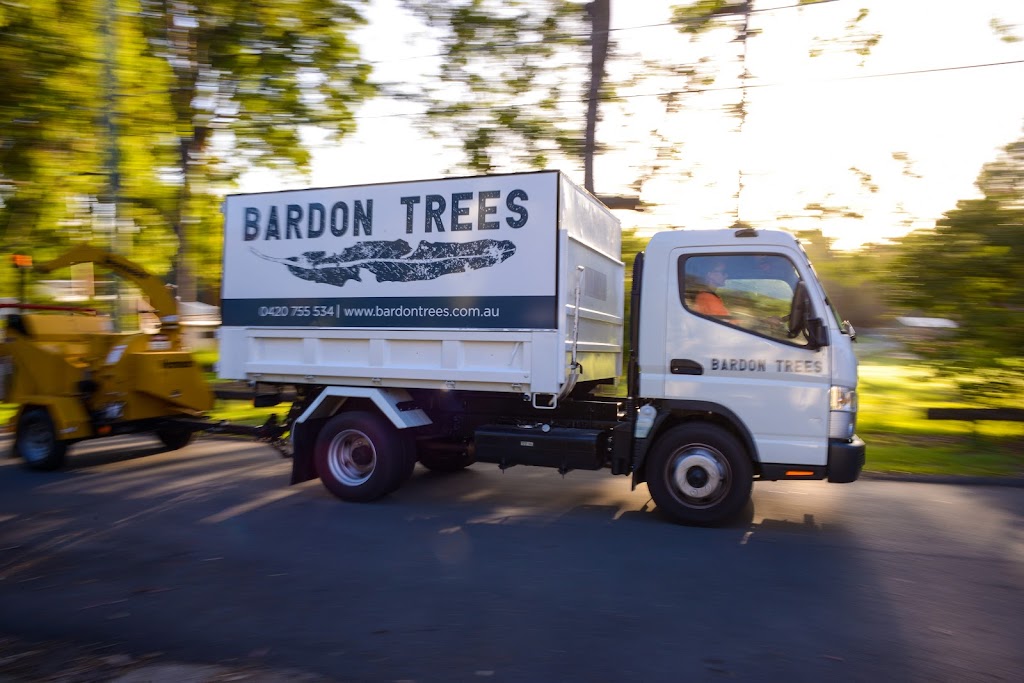 Bardon Trees | 20 David Ave, Bardon QLD 4065, Australia | Phone: 0420 755 534
