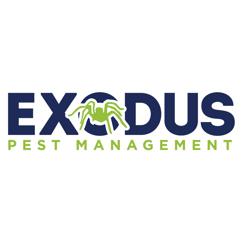 Exodus Pest Management - Coffs Harbour | home goods store | 9/10 Wisteria Cl, Coffs Harbour NSW 2450, Australia | 0488444962 OR +61 488 444 962