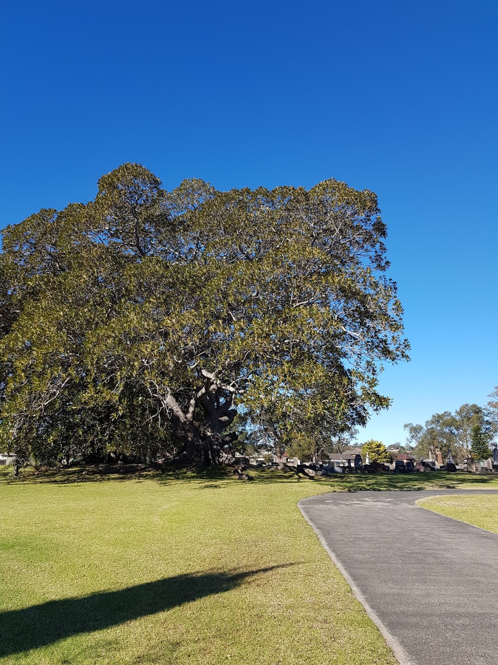 Dapto Anglican Church - St Lukes Brownsville | church | St Lukes Church of Anglican, 35-37 Prince Edward Dr, Brownsville NSW 2530, Australia | 0242611001 OR +61 2 4261 1001