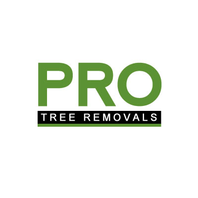 Pro Tree Removal Brisbane | 73/20 Donkin St, West End QLD 4101, Australia | Phone: 07 3106 8611