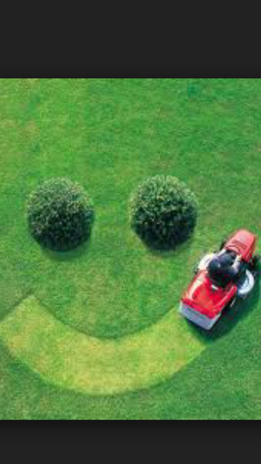 andys lawn mowing service | park | 4 Isabella Cl, Chelsea Heights VIC 3196, Australia | 0413977442 OR +61 413 977 442