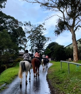 Palomino Riding School | 192 Forest Way, Belrose NSW 2085, Australia | Phone: 0429 131 569