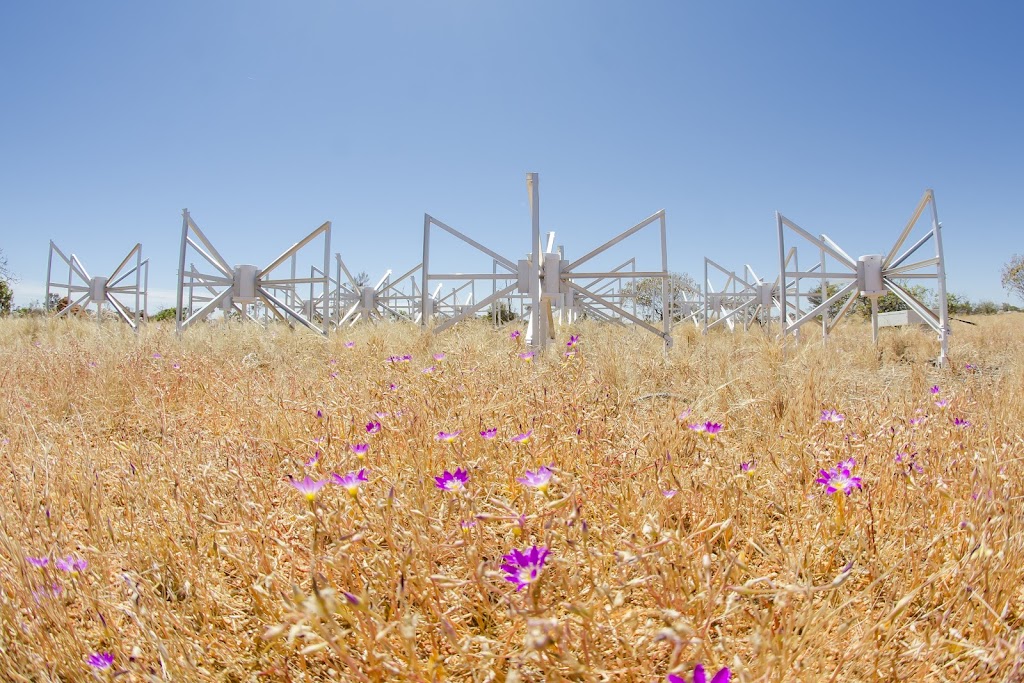 Murchison Widefield Array | Murgoo Boolardy Rd, South Murchison WA 6635, Australia | Phone: (08) 9249 2222