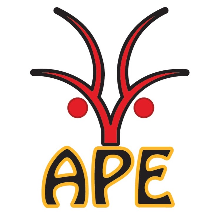 APE Academy of Gymnastics | school | 227 Catherine St, Leichhardt NSW 2040, Australia
