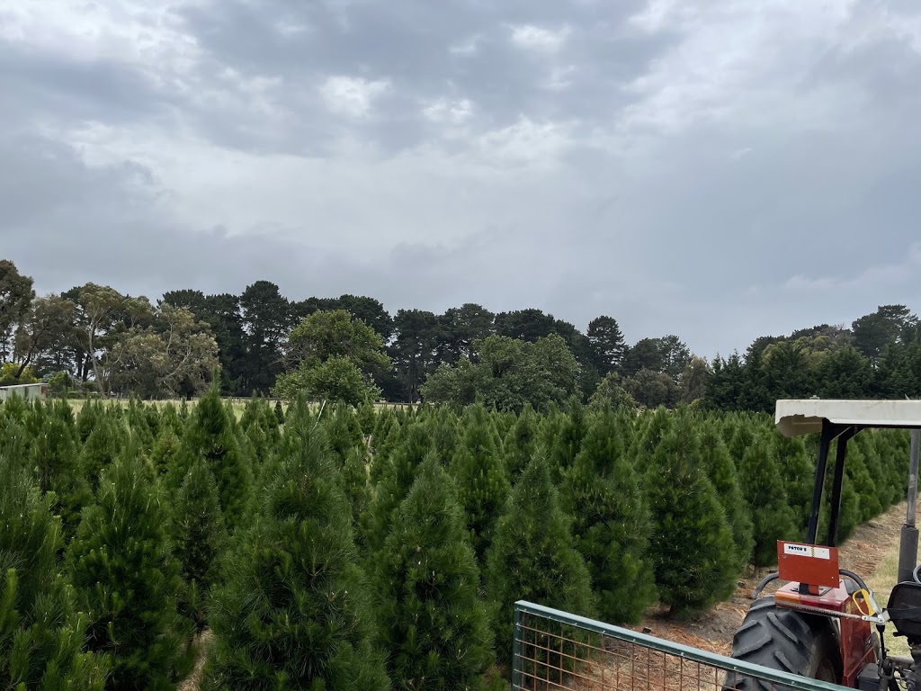 Whispering pines Christmas tree farm, Tyabb |  | 15 Oneills Rd, Tyabb VIC 3913, Australia | 0407843850 OR +61 407 843 850