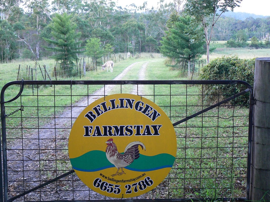 Bellingen Farmstay | lodging | 417 Martells Rd, Brierfield NSW 2454, Australia | 0266552786 OR +61 2 6655 2786