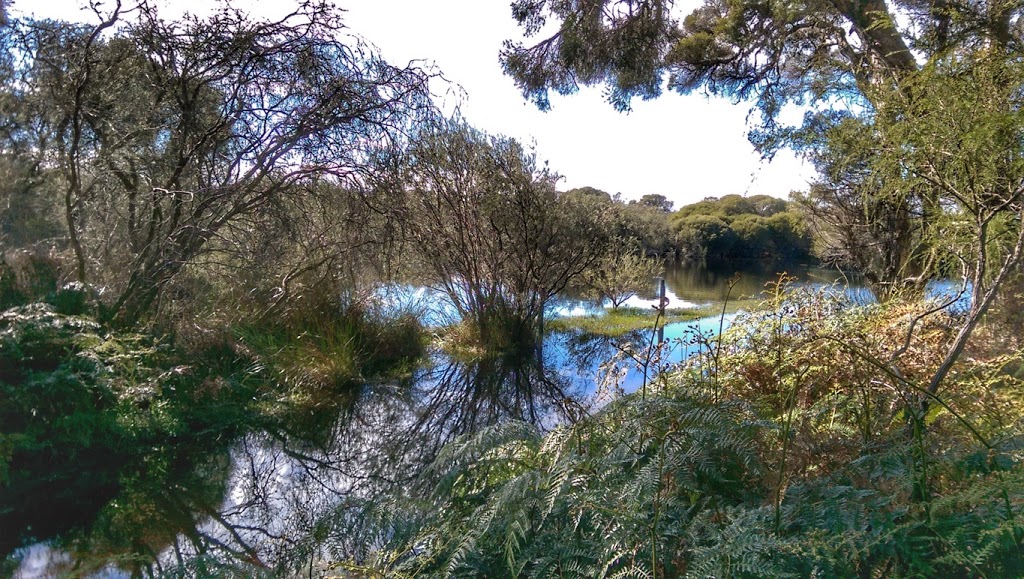 Harrisdale Swamp | park | 112 Harrisdale Dr, Harrisdale WA 6112, Australia
