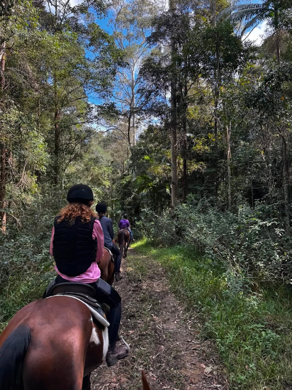 Dezigna Lodge Horsemanship | 1 Nonmus Rd, Stanmore QLD 4514, Australia | Phone: 0429 337 716