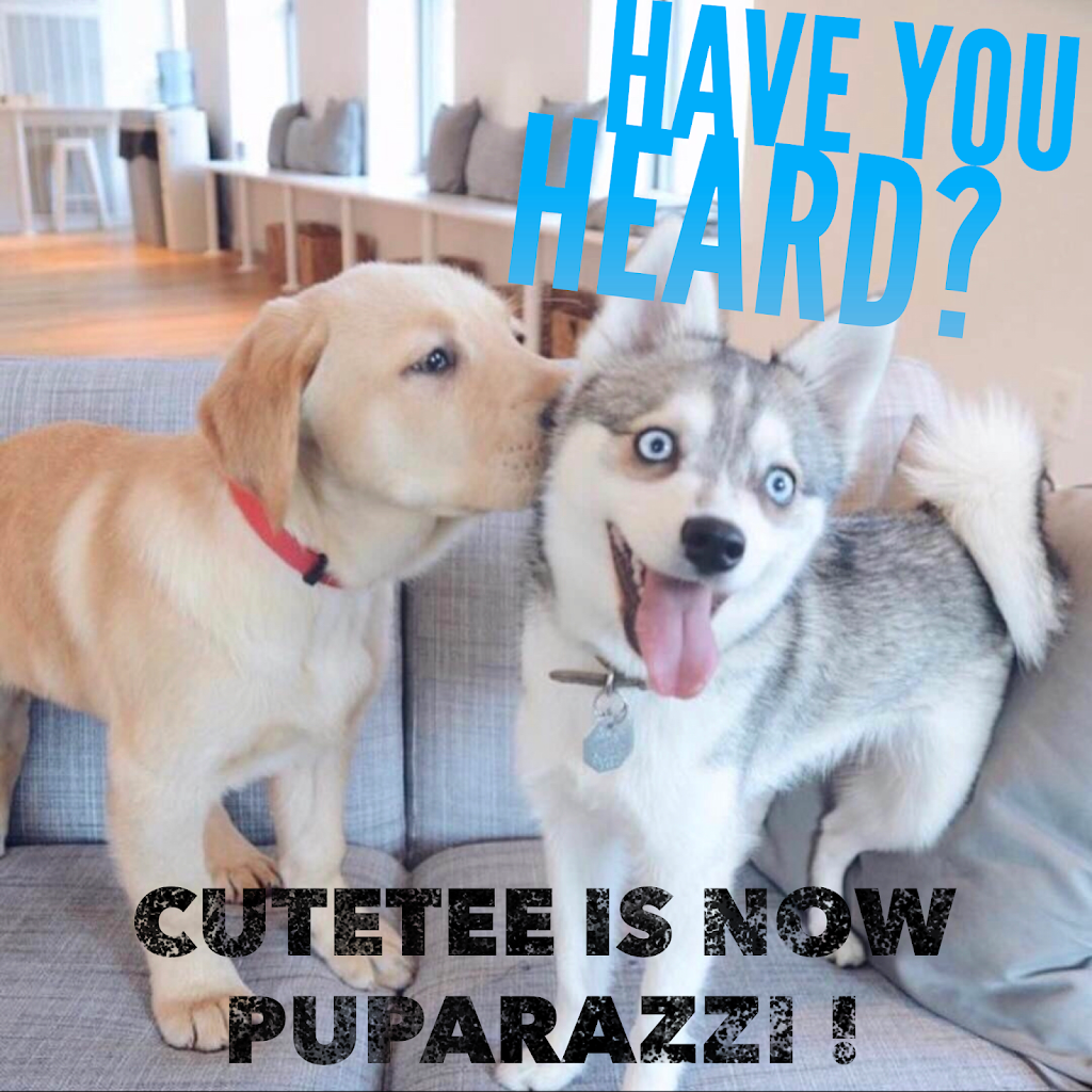 Puparazzi Day Spa | 972 Mate St, Albury NSW 2640, Australia | Phone: (02) 6025 5700