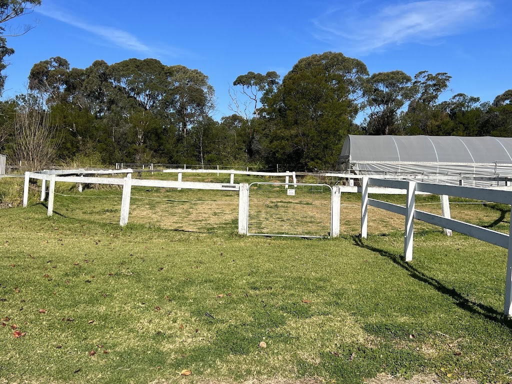 Sydney Hills Equestrian | 3254 Old Northern Rd, Glenorie NSW 2157, Australia | Phone: 0488 210 548