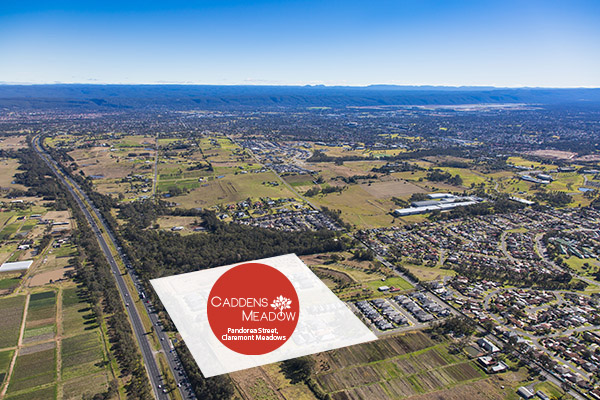 Caddens Meadow | 19 Pandorea St, Claremont Meadows NSW 2747, Australia | Phone: 0449 722 323