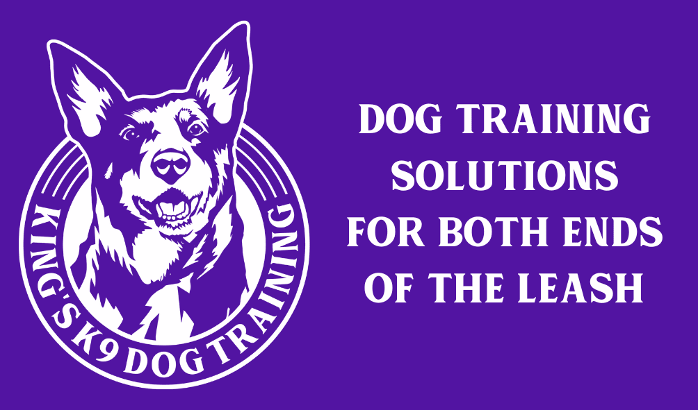 Kings K9 Dog Training | 392 Bellarine Hwy, Moolap VIC 3224, Australia | Phone: 0492 906 462