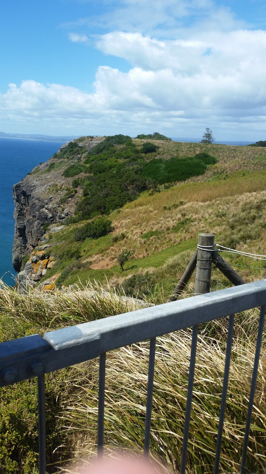 Jimmy Lane Memorial Lookout | 148 Dovecote Rd, Stanley TAS 7331, Australia | Phone: (18) 99752-1041