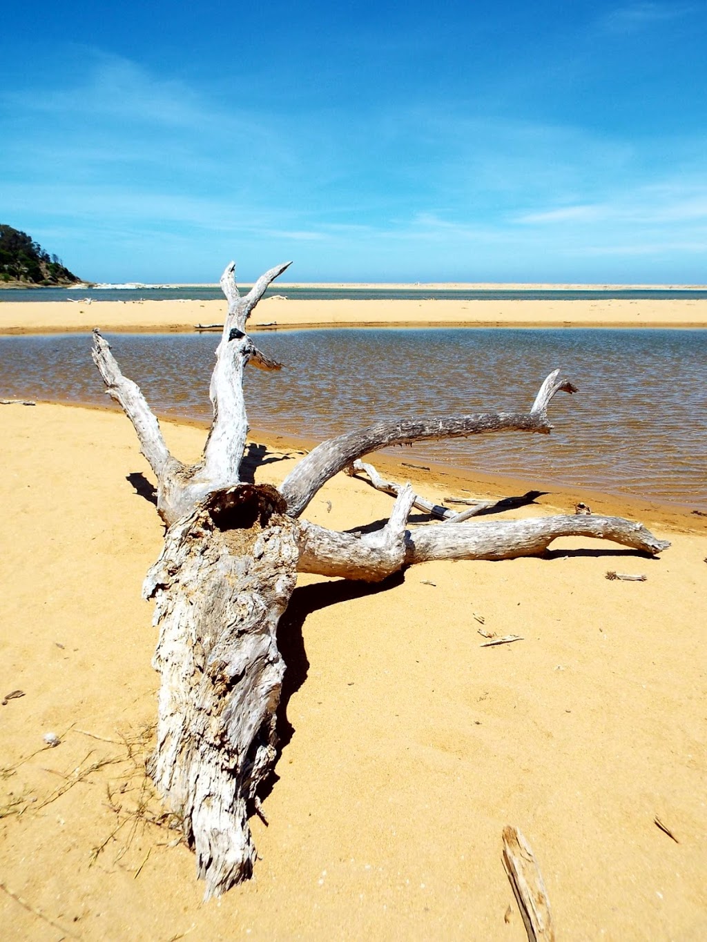 Mogareeka Carpark | parking | Tathra-Bermagui Rd, Mogareeka NSW 2550, Australia