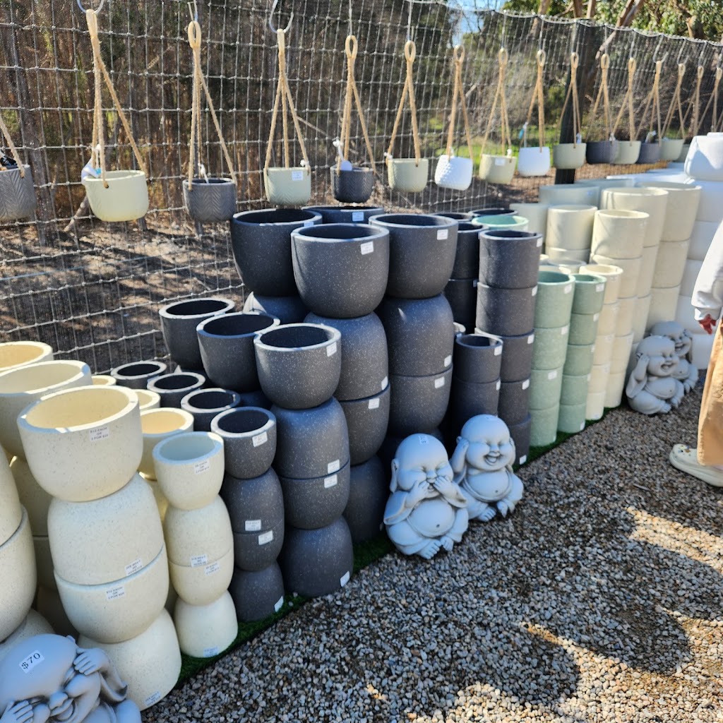 The Plant Guy | 20 Cross Rd, Devon Meadows VIC 3977, Australia | Phone: 0457 081 505