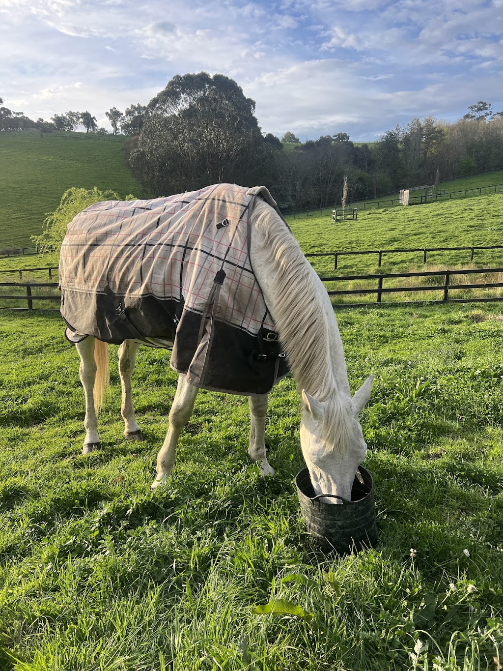 Vallaura Dressage | 205 Victoria Rd, Gruyere VIC 3770, Australia | Phone: 0400 372 334