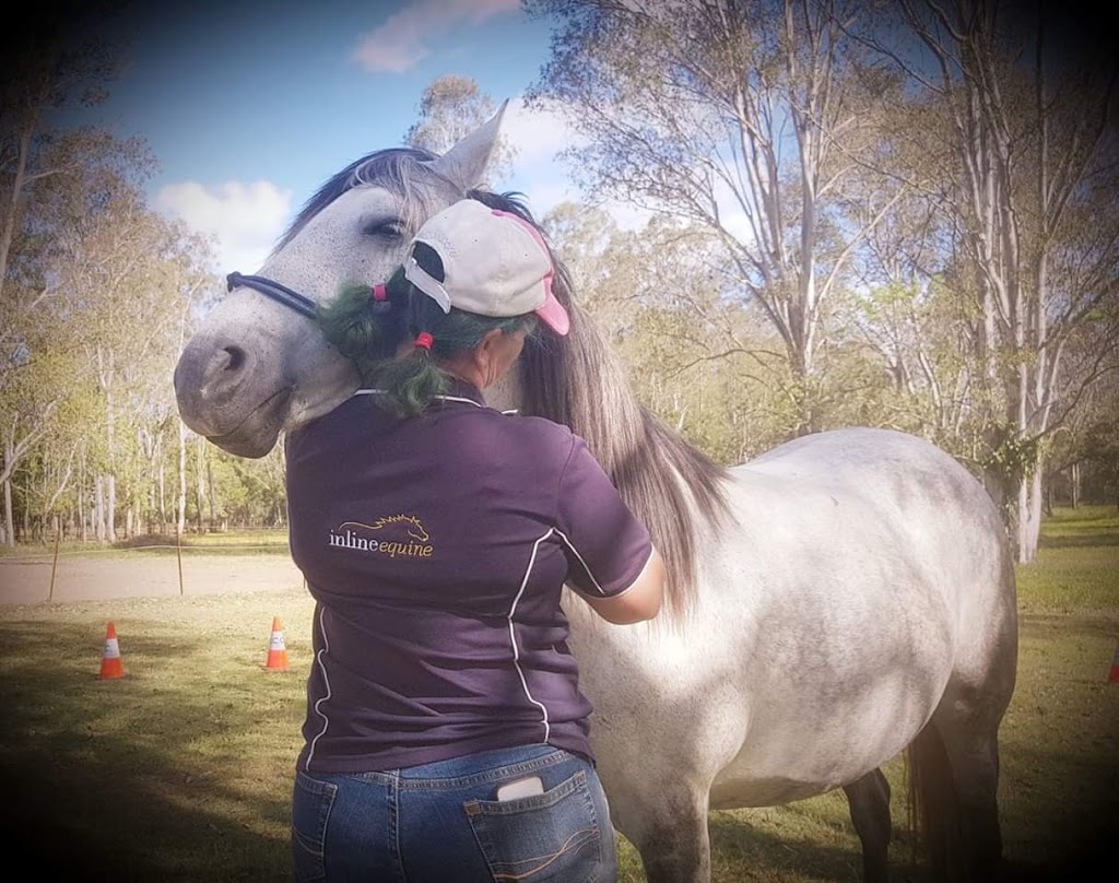 Inline Equine | 22 Balmoral Rd, Draper QLD 4520, Australia | Phone: 0407 110 400