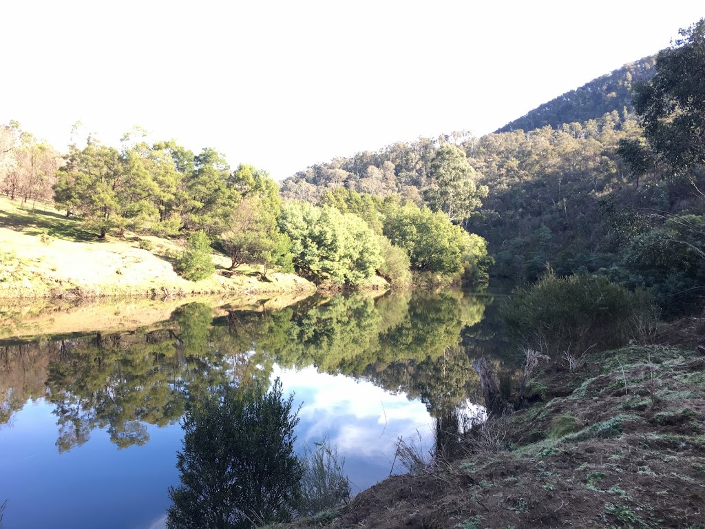 Camping Area, Mitchell River | Angusvale Track, Cobbannah VIC 3862, Australia