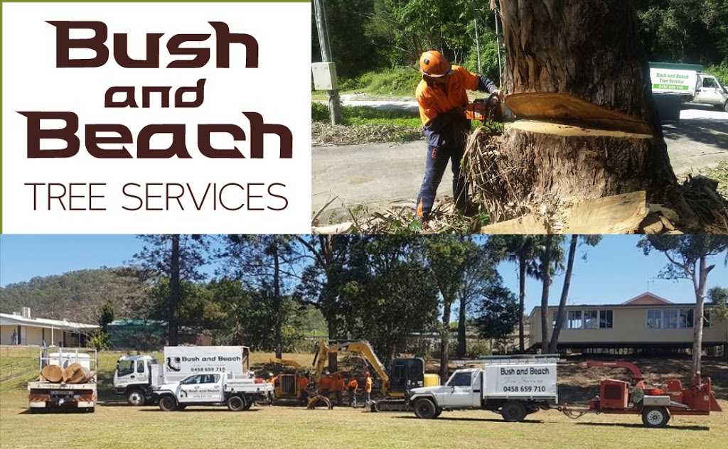 Bush and Beach Tree Services - Sunshine Coast |  | 715 Kandanga Imbil Rd, Imbil QLD 4570, Australia | 0458659710 OR +61 458 659 710